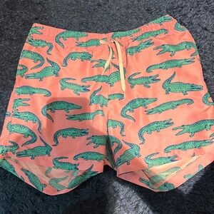 Chubbies Medium Swimtrunks